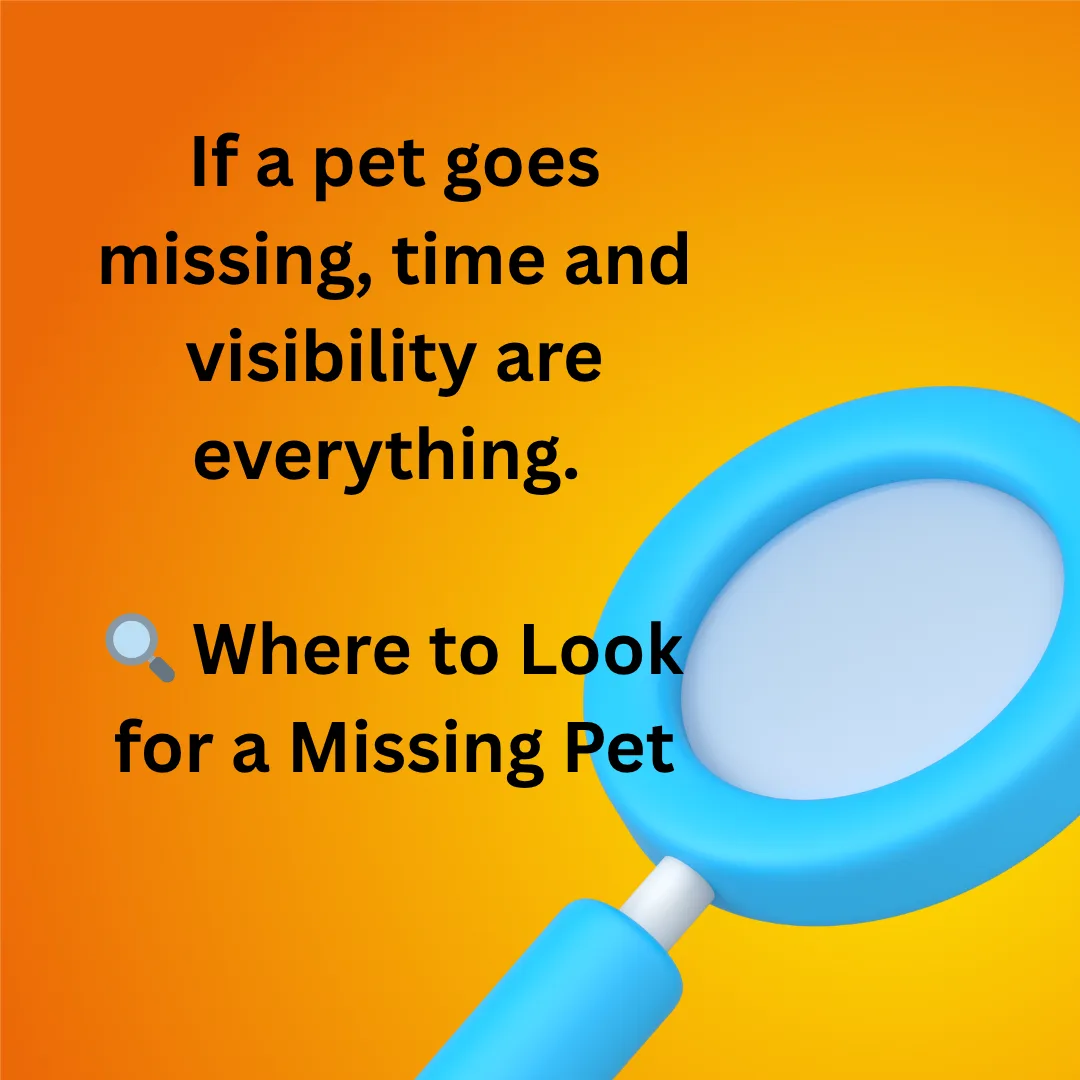 If a pet goes missing, time and visibility are everything.