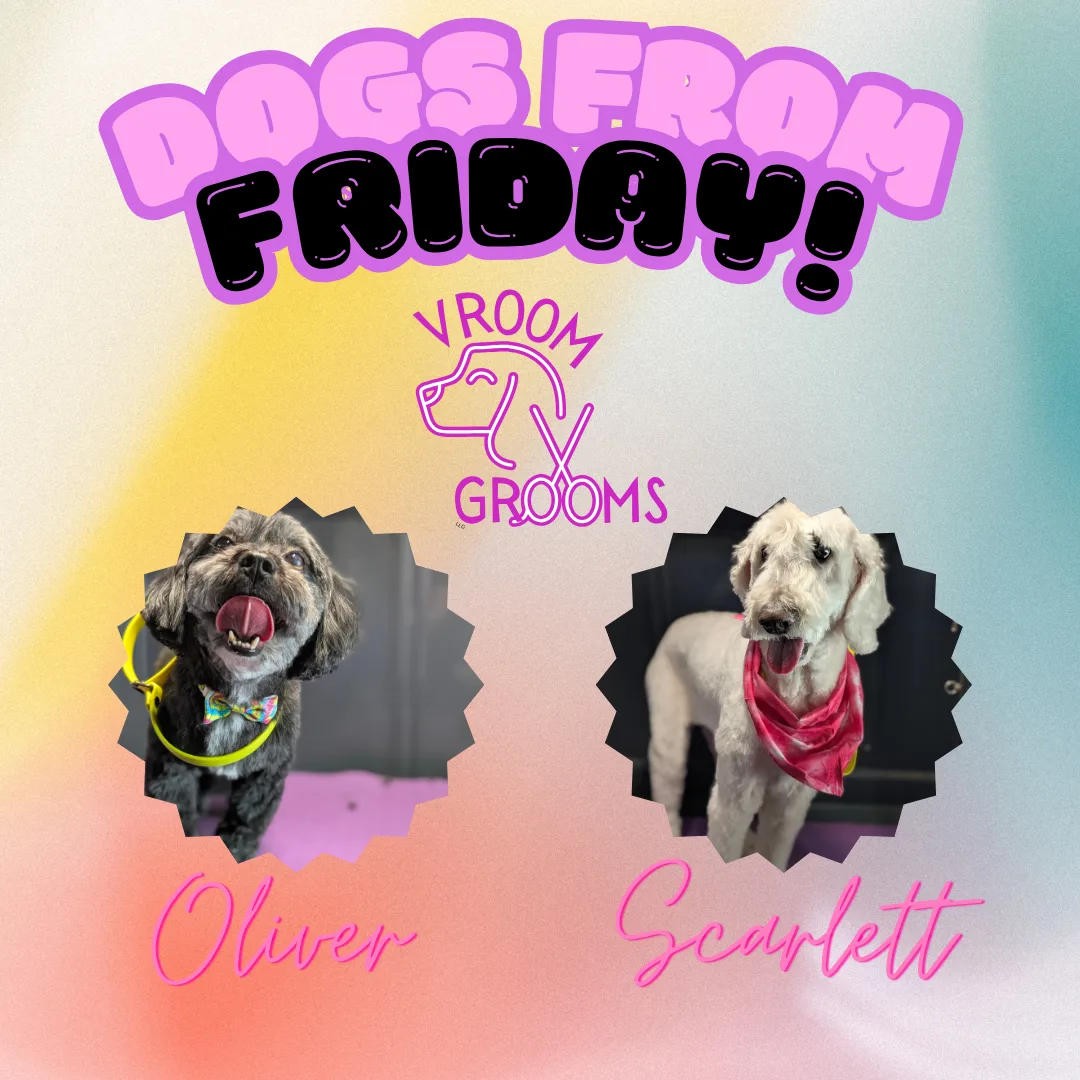 Dogs of Friday! 🐶🐾🩷📸 6/27/2025