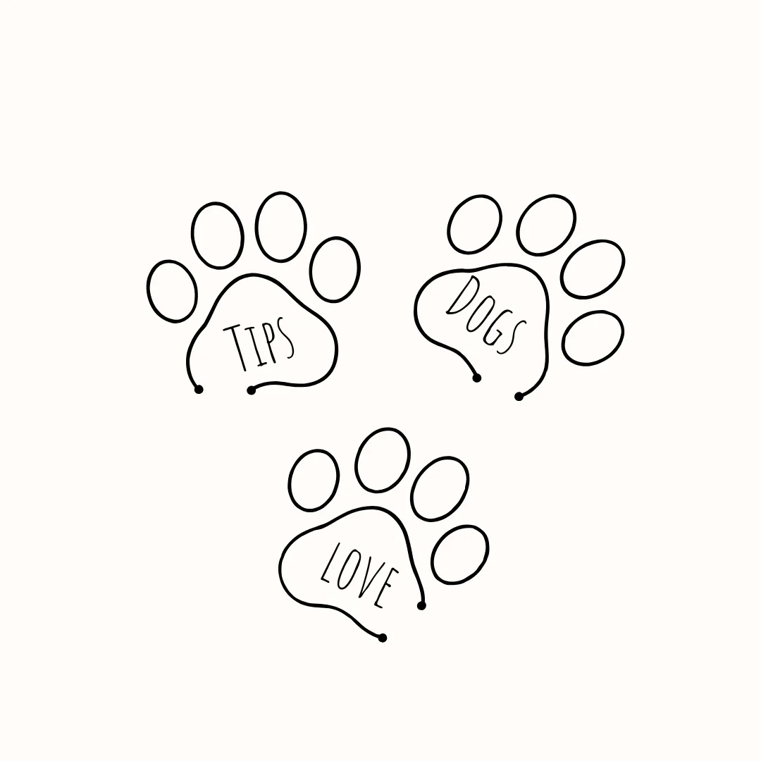 🧶 Knots, Tangles & Mats: The Hairy Truth Behind Dog Grooming Struggles