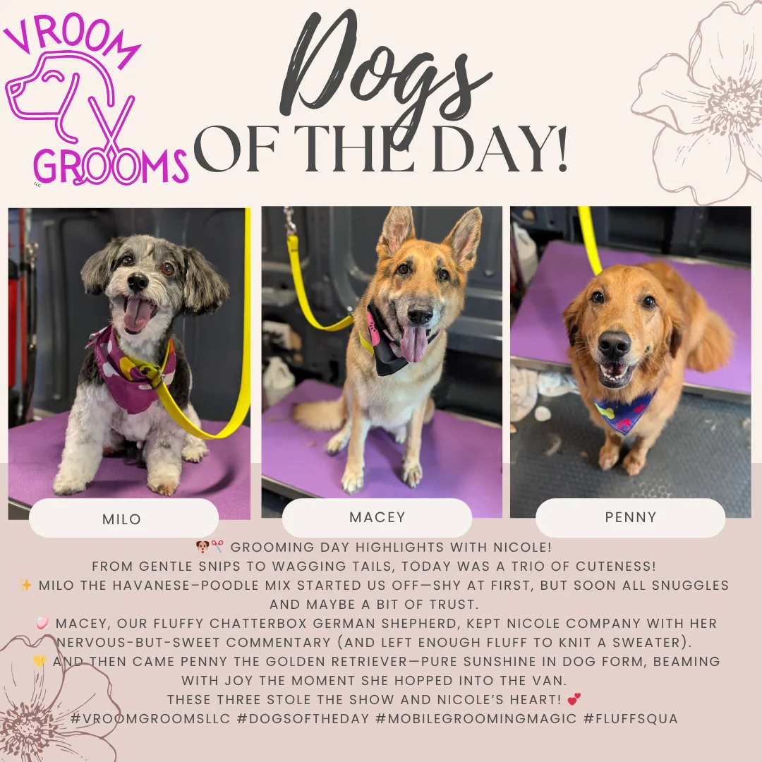 🐾 Dogs of the Day with Nicole! 🐾