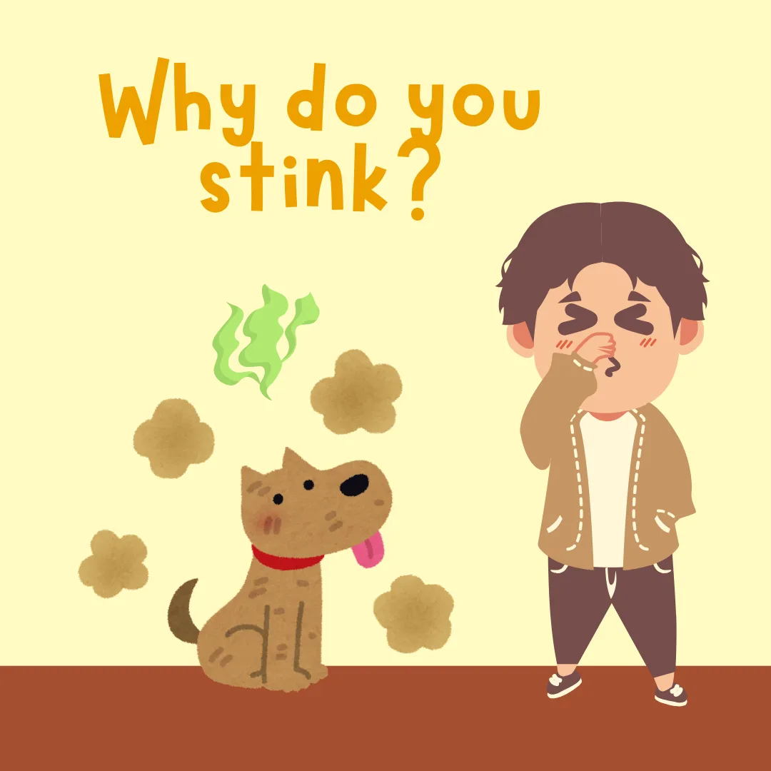 🦴💩 Why Do Dogs LOVE to Roll in Smelly Things? 🤷‍♀️🐶It’s the age-old mystery of the muddy pup parade:You just gave your dog the perfect spa treatment… and BAM—they find the one dead worm in a five-mile radius and roll like it’s the latest cologne.