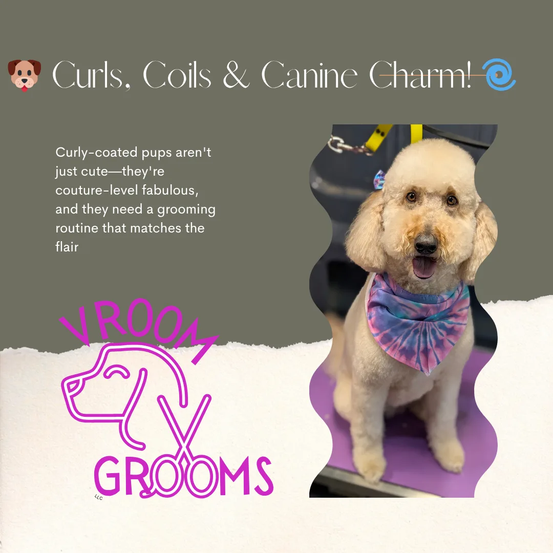 🐶 Curls, Coils & Canine Charm! 🌀