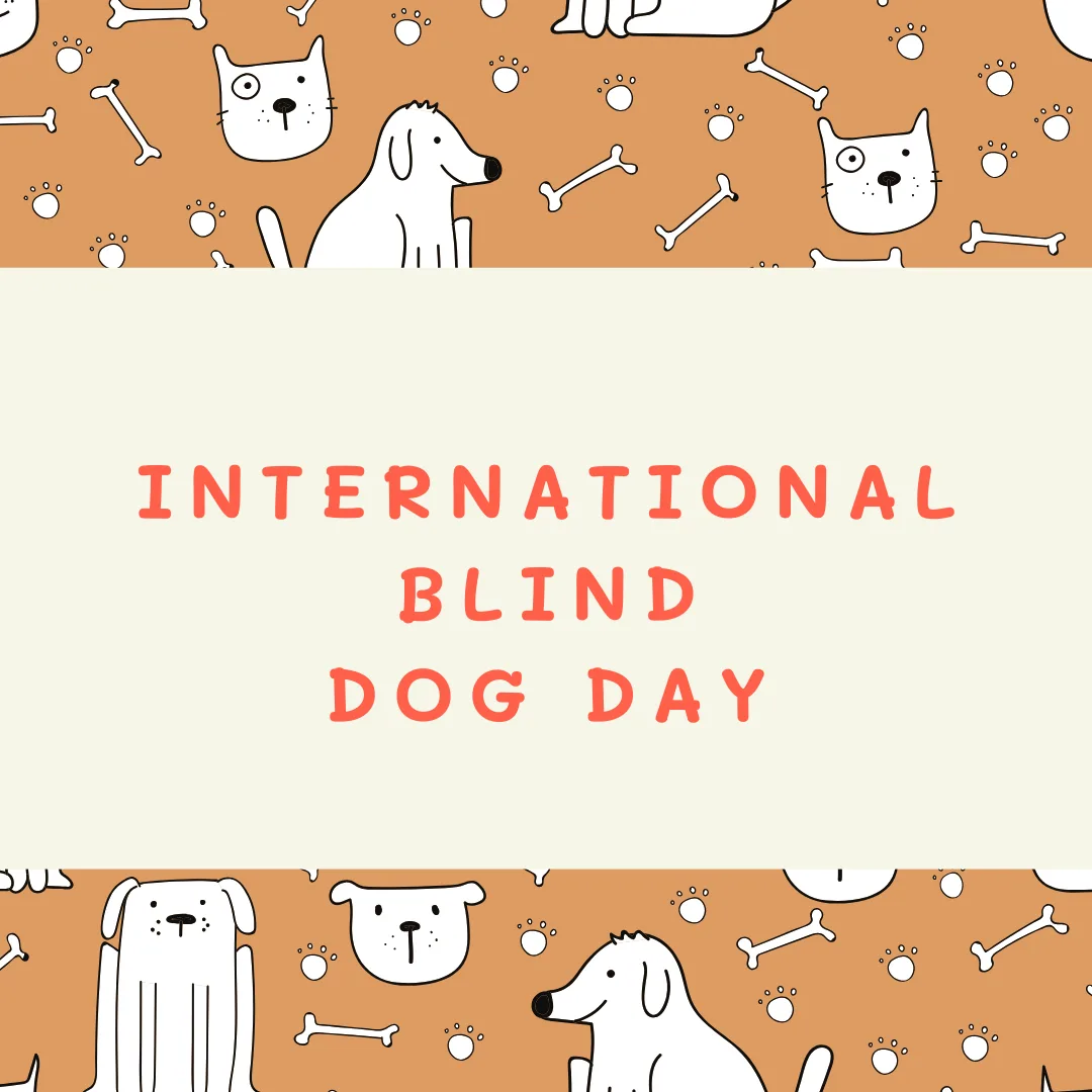 🐾 International Blind Dog Day: Seeing the World Through Their Hearts