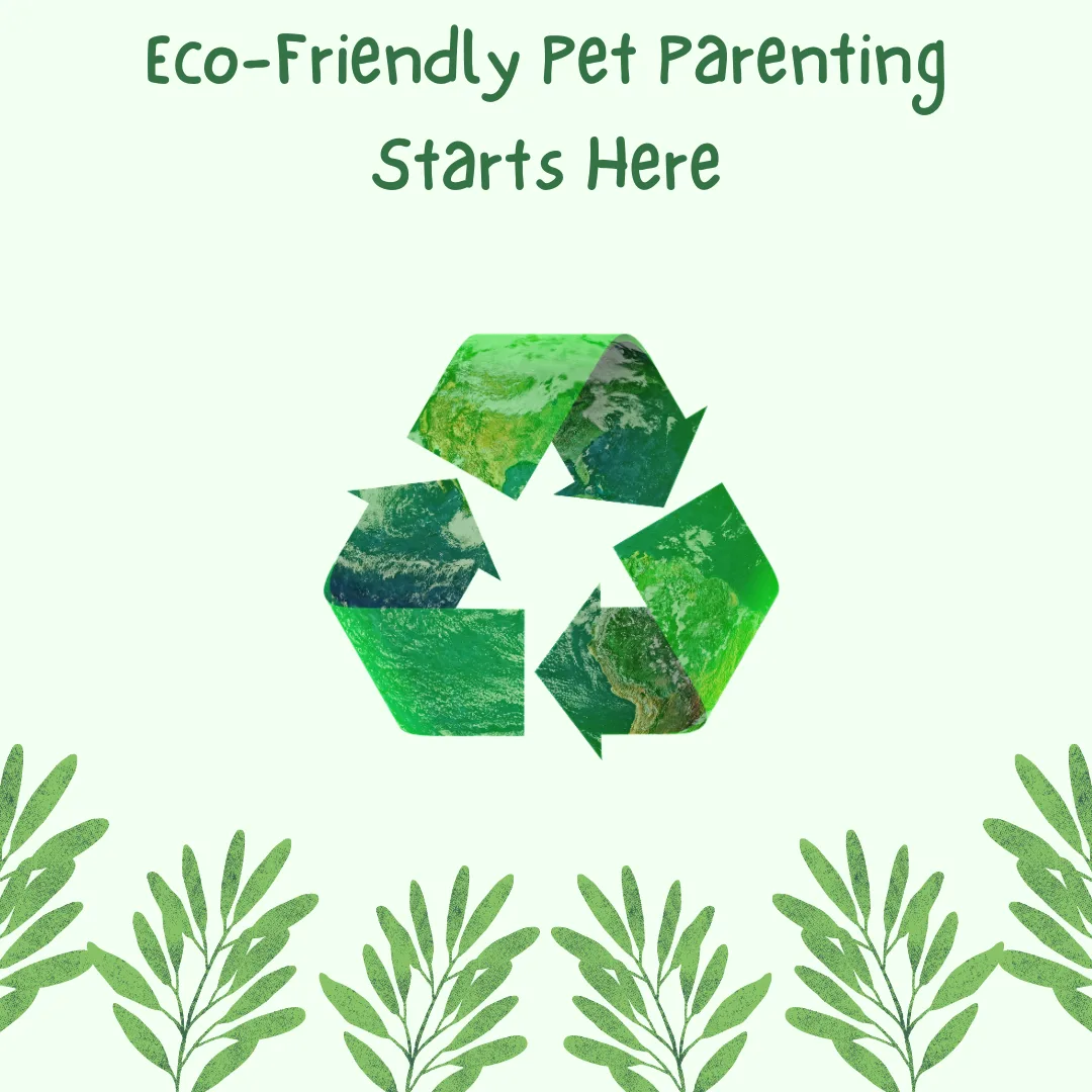 🌱🐾 Sustainable Pet Parenting: Eco-Friendly Products That Love Your Dog and the Planet
