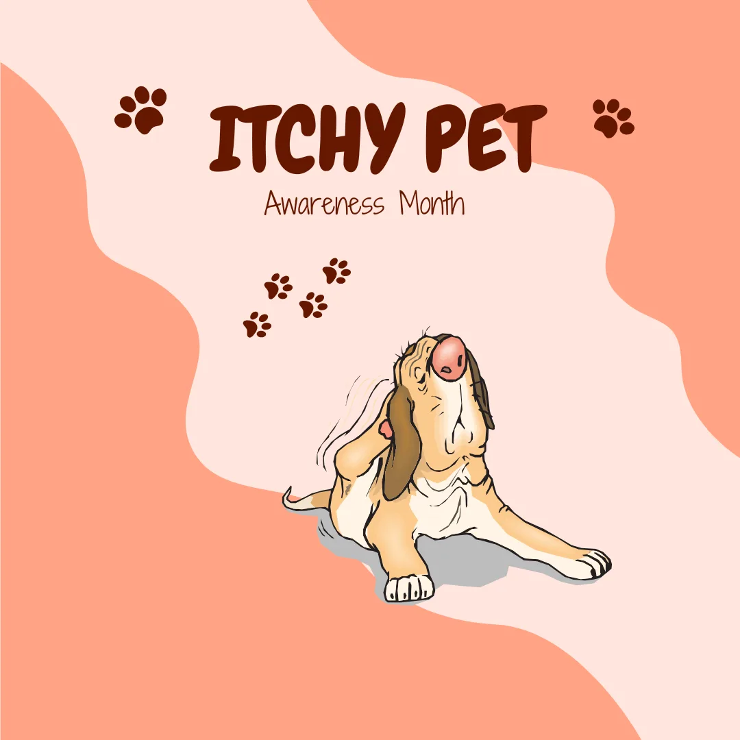 🐾 Itchy Pet Awareness Month: Scratching Beneath the Surface
