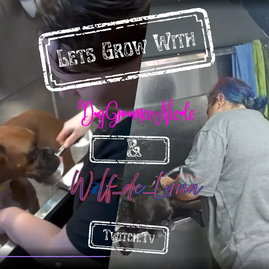 🐾 Across States, Across Styles: The Mobile Grooming Perspectives of Nicole & Wolf_de_Luna