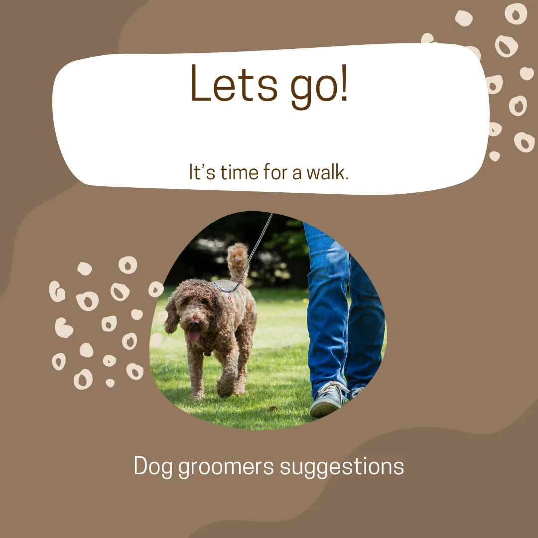 🐾 Why a Pre-Groom Walk Sets the Tone for a Great Groom 🚶‍♀️✂️
