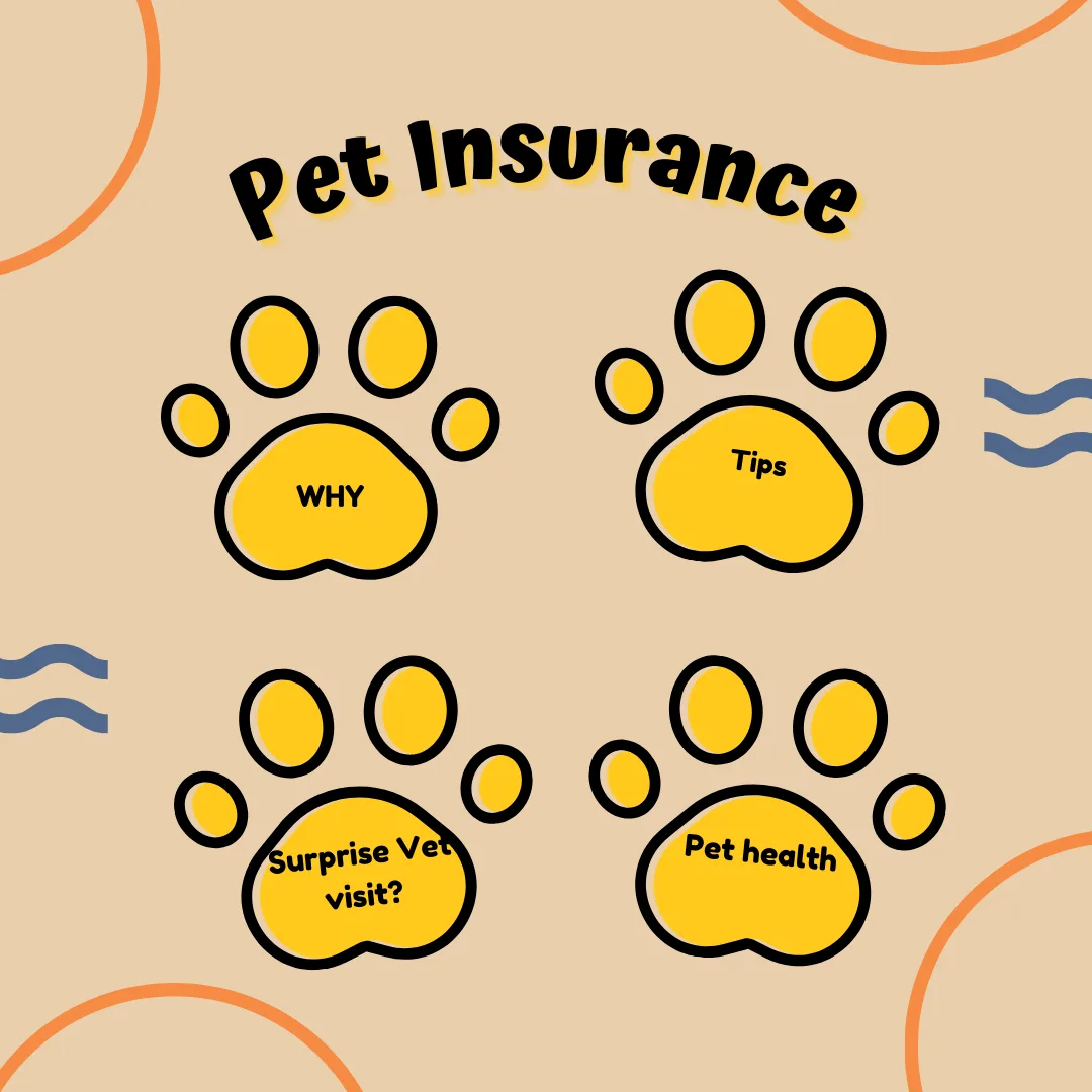 🐾 Pet Insurance 101: Protecting Your Pup (and Your Peace of Mind)