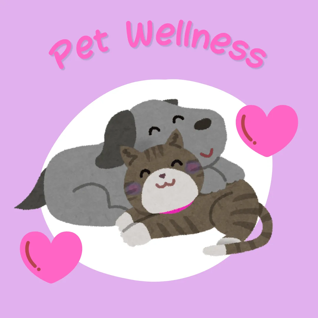 🐶 Grooming with Heart: Why We Speak Up About Vet Recommendations