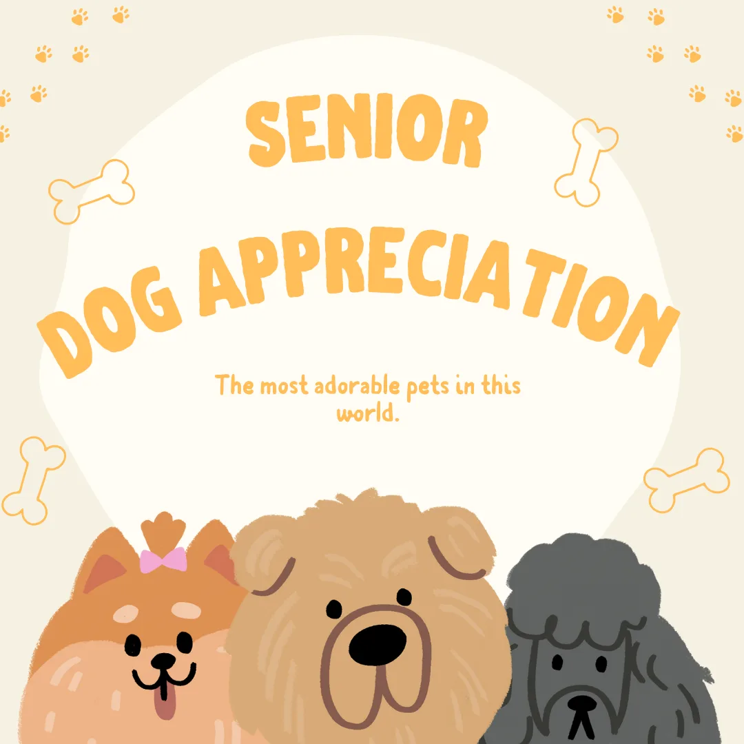 🐾 Honoring the Golden Years: A Tribute to Senior Pets