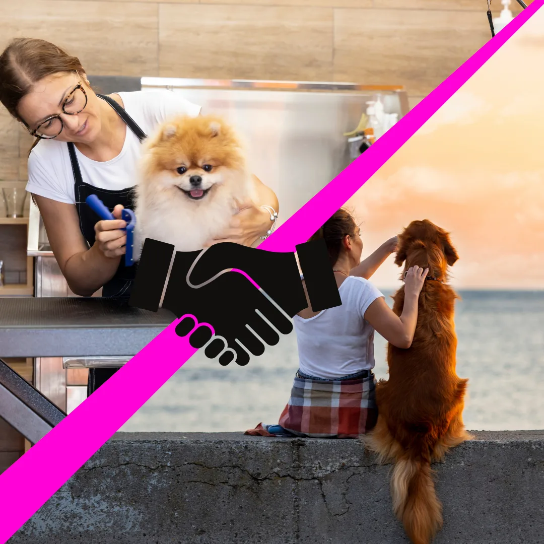 🎬 Series Title: What Groomers Wish You Knew🧼✂️