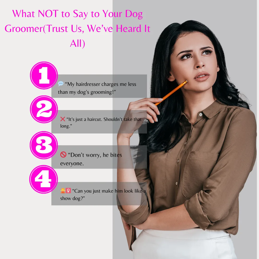🐾 What NOT to Say to Your Dog Groomer (Trust Us, We’ve Heard It All)