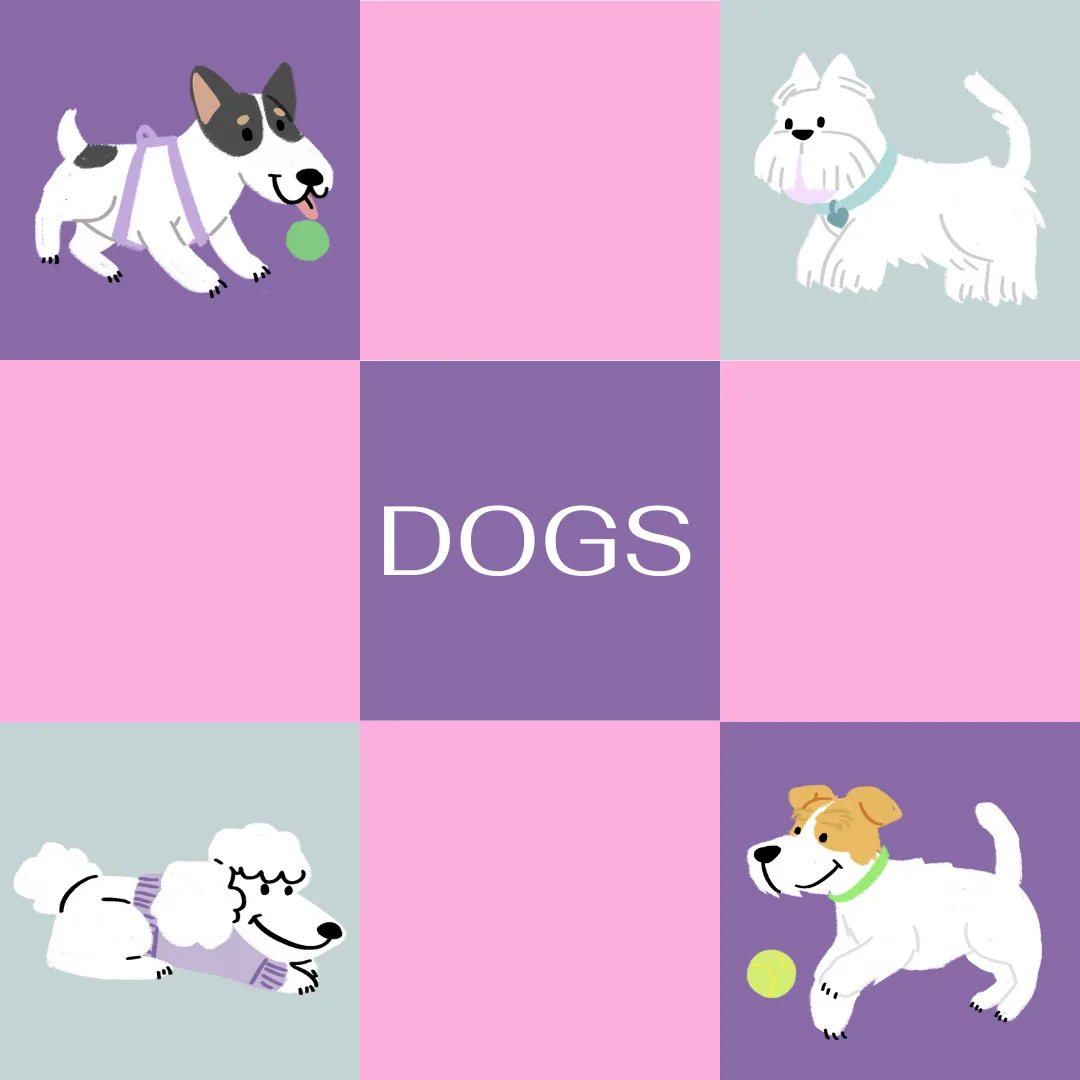 🧠🐶 Mind Over Muzzle: Why Mental Enrichment Matters for Every Dog