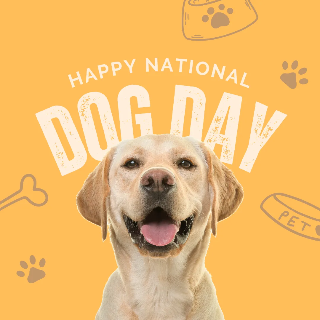 🐾 National Dog Day: Honoring the Paws That Changed Our Lives
