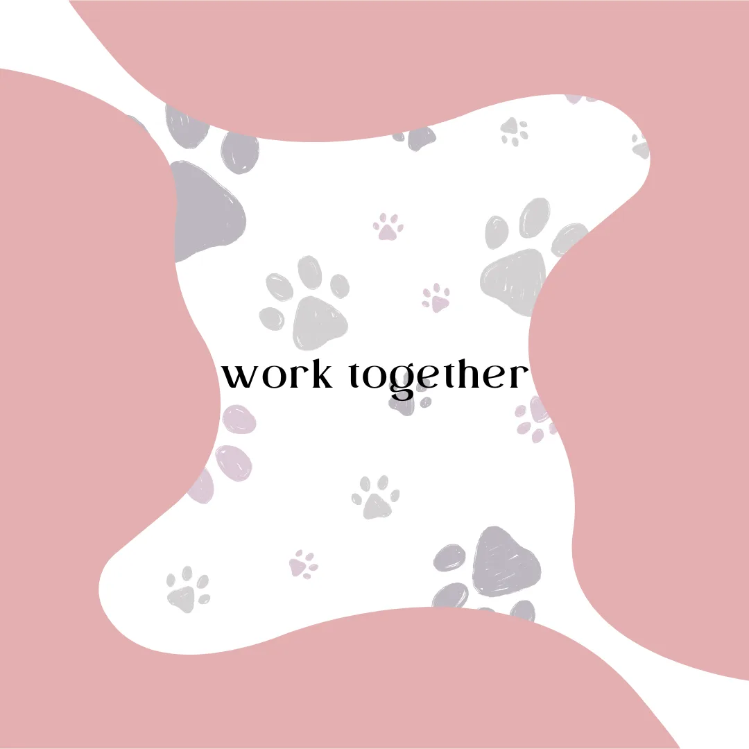 🛁🐕‍🦺 The Reality of Grooming: What It Really Takes—And What We Need From You ✂️💬
