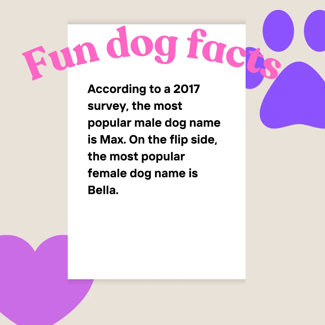 🐾 Max & Bella: The Reigning Royals of Dog Names