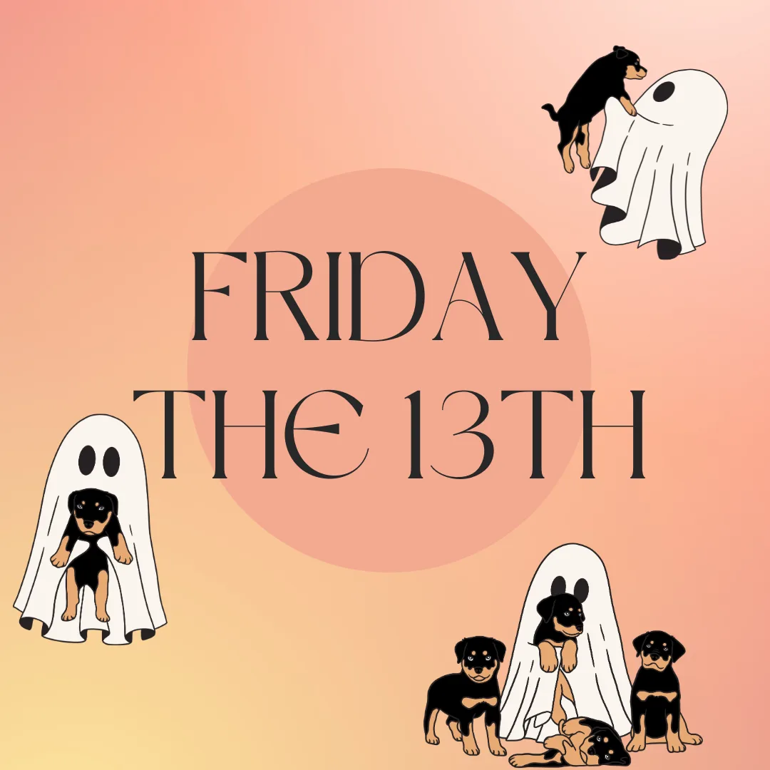 🐾 Friday the 13th: Myths, Mutts & Magical Moments