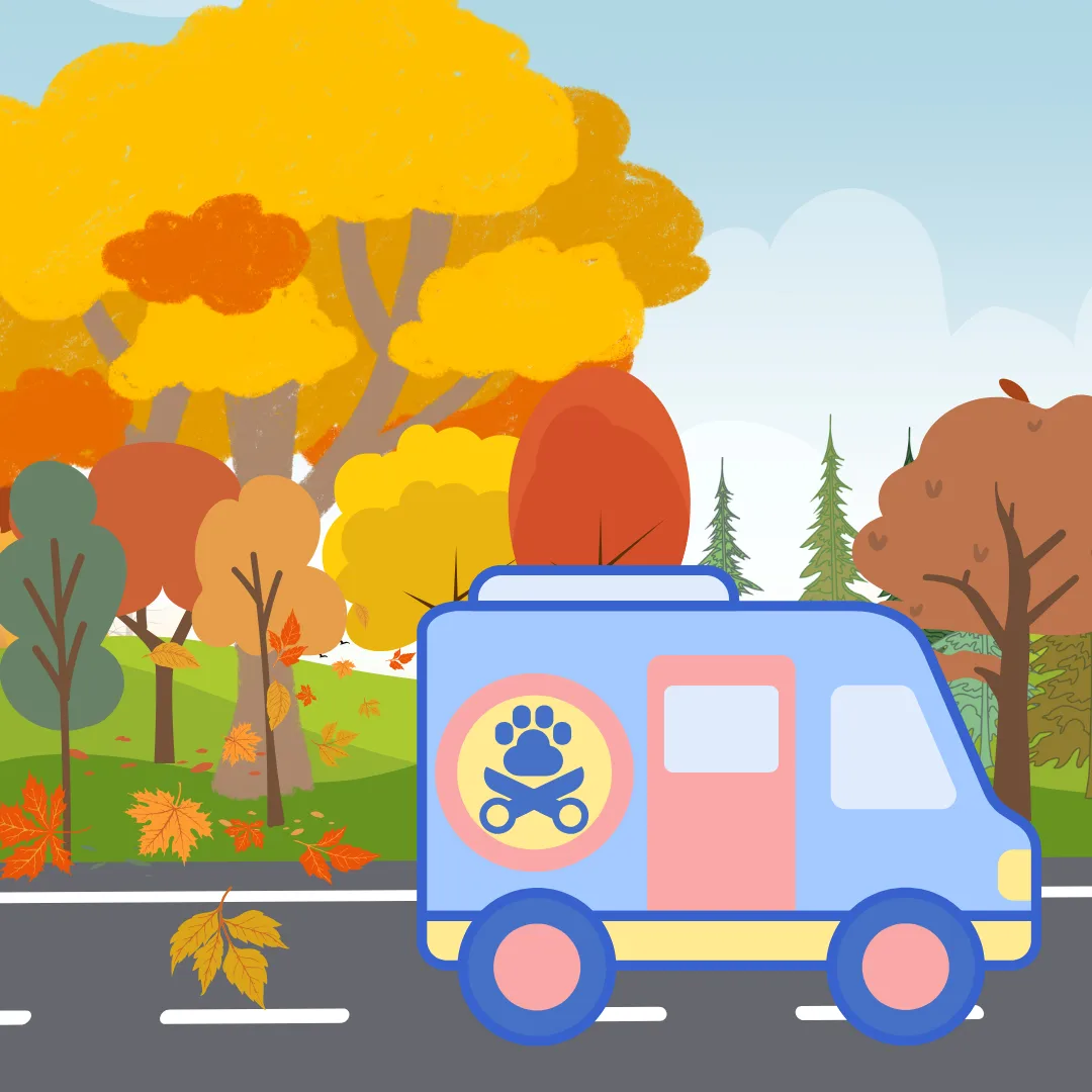 🍂 September is here, and so is the season of crunchy leaves, cozy vibes, and muddy paws! 🐾✨