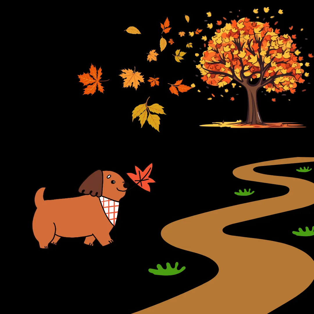 🍂 Crisp air. Crunchy leaves. Wagging tails.