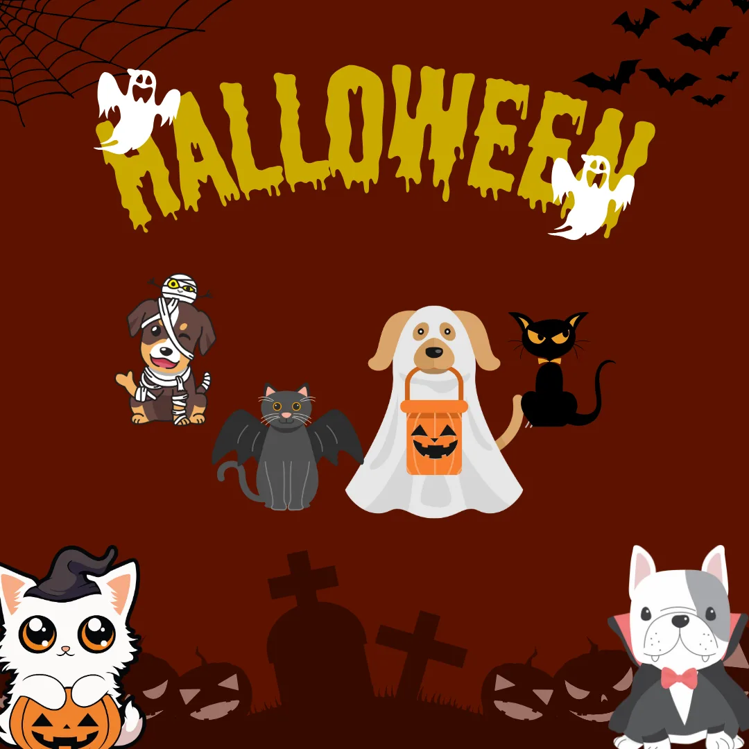 🎃 Did You Dress Your Pet Up for Halloween? 🎃Let’s see those spooky, silly, and downright adorable costumes!