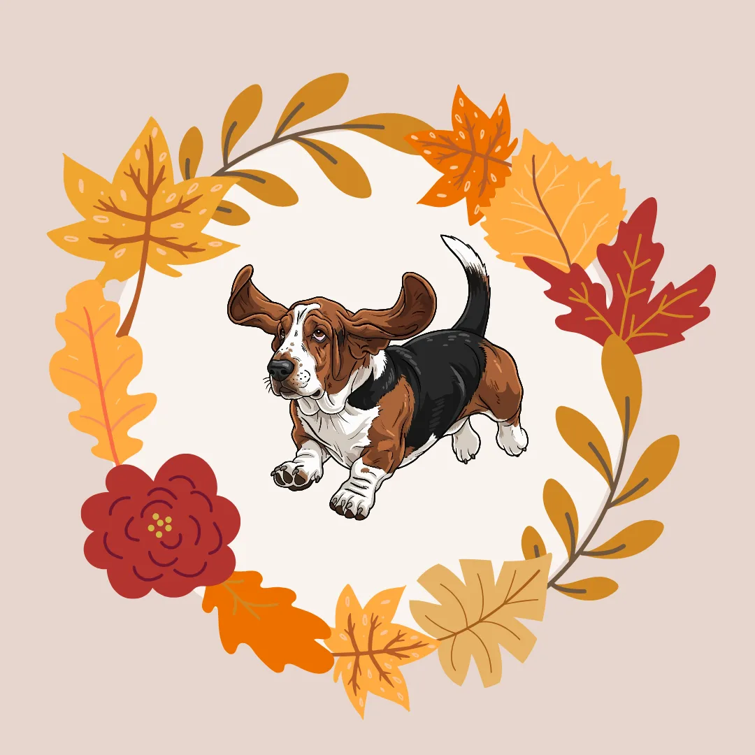 Fall weather can trigger ear infections in dogs—especially those with allergies or floppy ears.