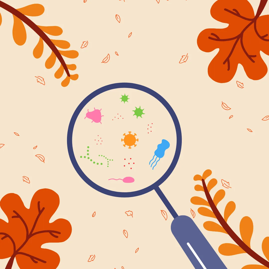 Fall allergies in dogs are real—and they can sneak up fast.