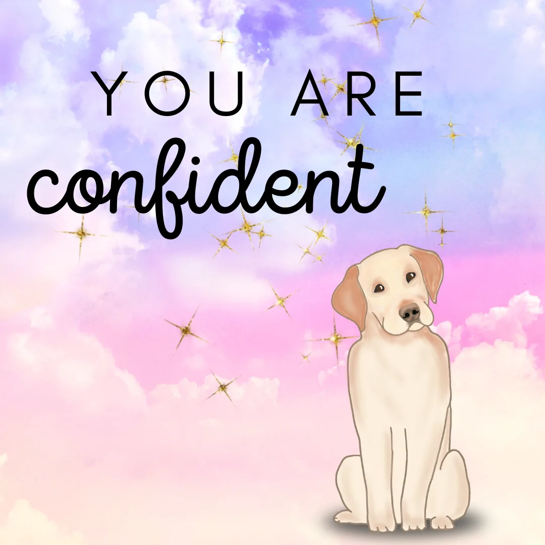 🐾 Building Confidence in Your Dog: A Gift for You, Your Pup, and Your Groomer