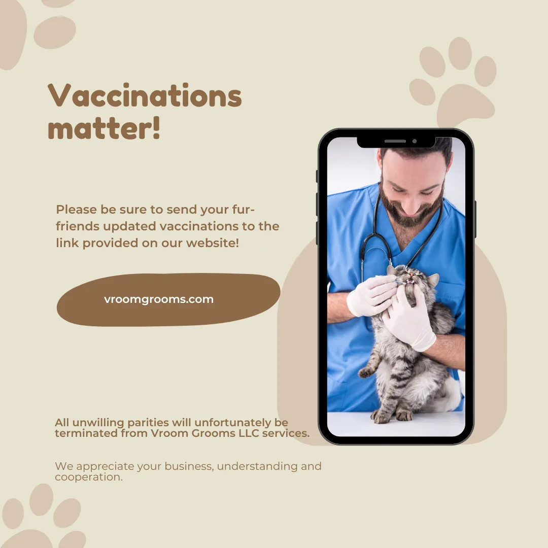 🐾 Why Vroom Grooms LLC Is Enforcing Our Vaccination Policy—For Everyone’s Safety