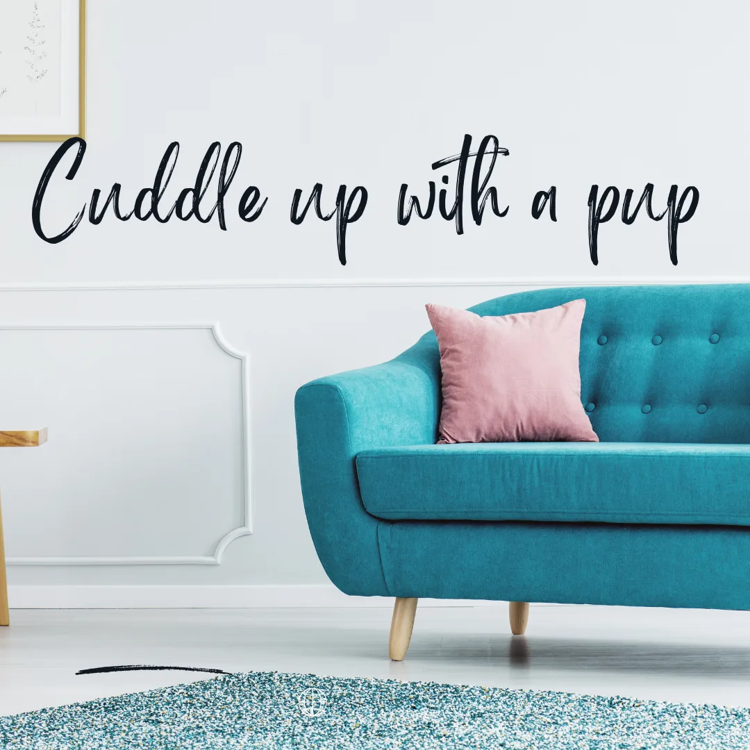 ❄️🐾 Fun Ways to Warm Up With Your Pup