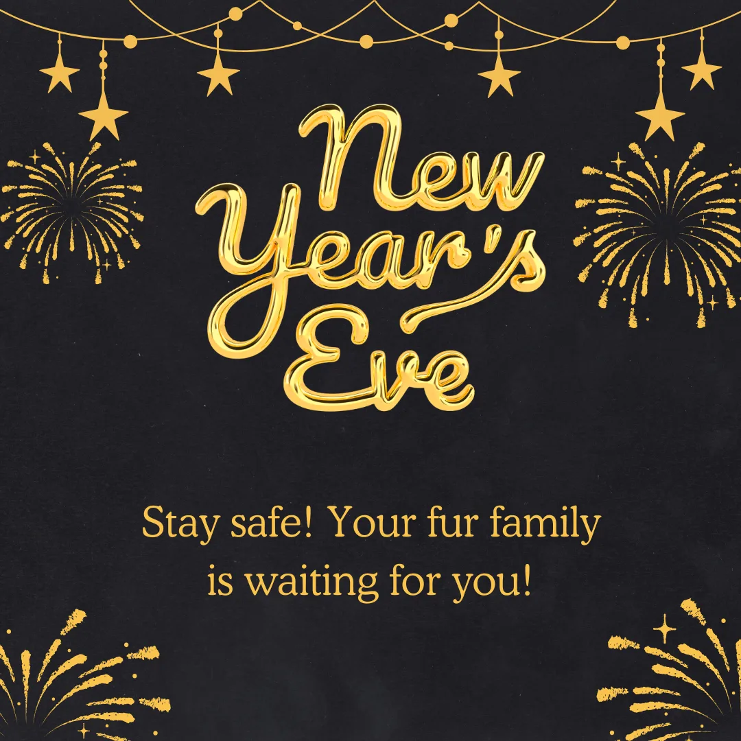 🎉✨ Happy New Year’s Eve! ✨🎉