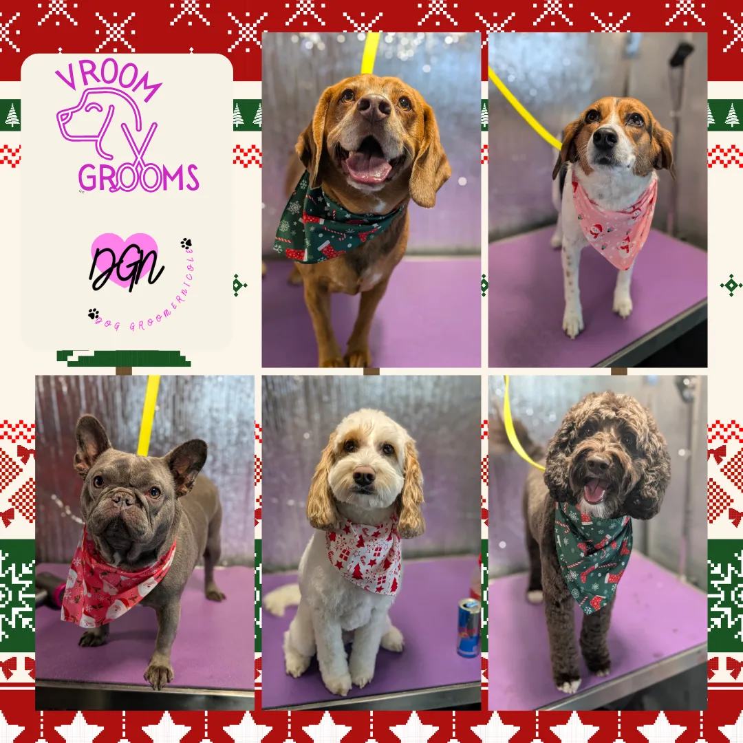 Dogs of the Day – Monday, December 15th
