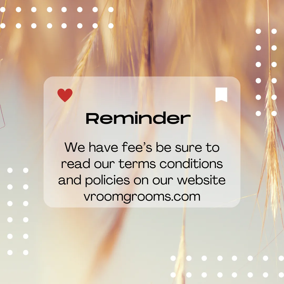 Understanding Our Fees: Why They Exist and How They Support Your Groomer