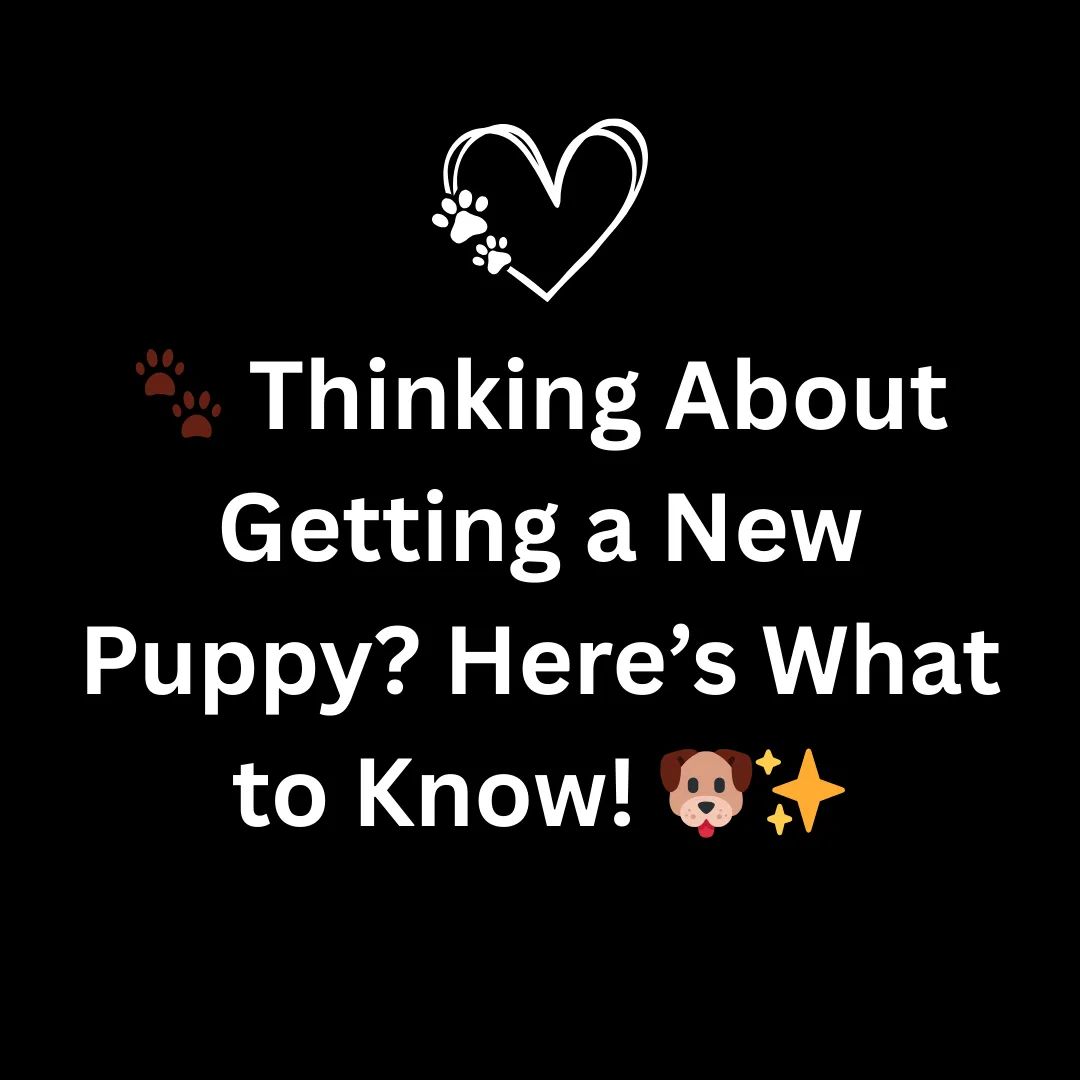 Before bringing home your newest family member, there are a few things to keep in mind to help us give them the best care possible: