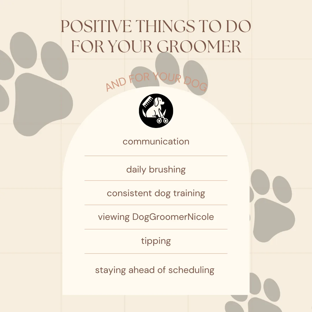 How to Support Your Groomer Beyond the Appointment
