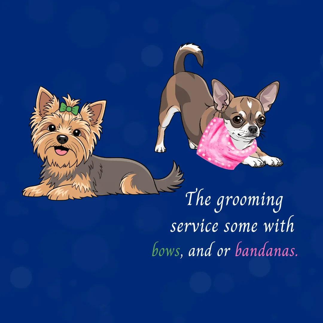 Fresh Looks Every Season: Our Ever‑Changing Bow & Bandana Designs