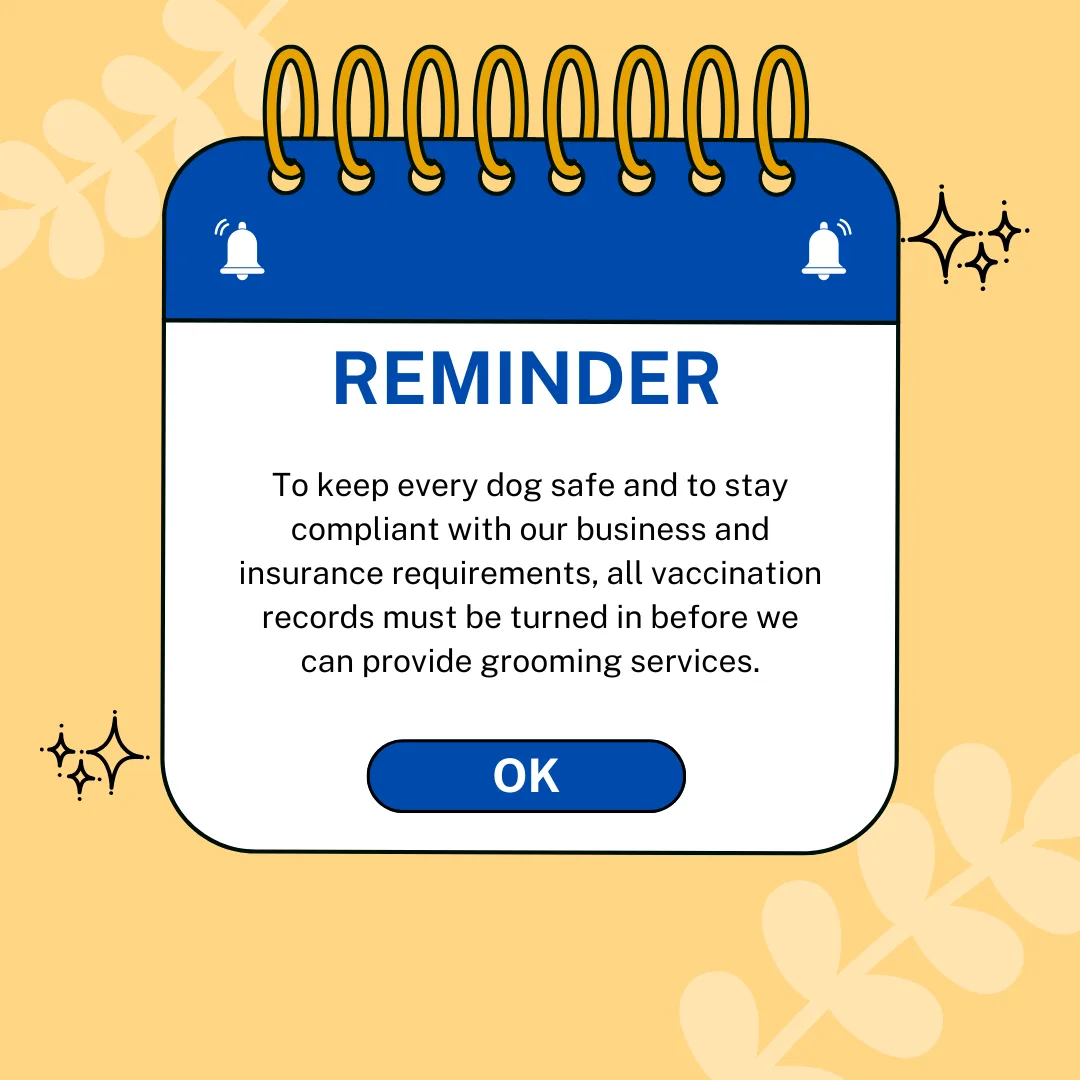 Why Vaccination Records Matter: A Quick Reminder for Our Pet Parents