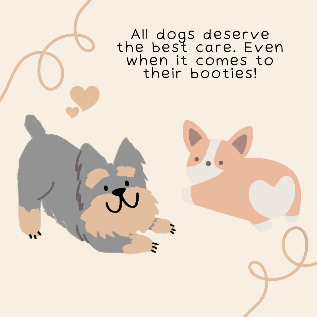 🐾 Grooming FAQ Series: Let’s Talk About Anal Glands
