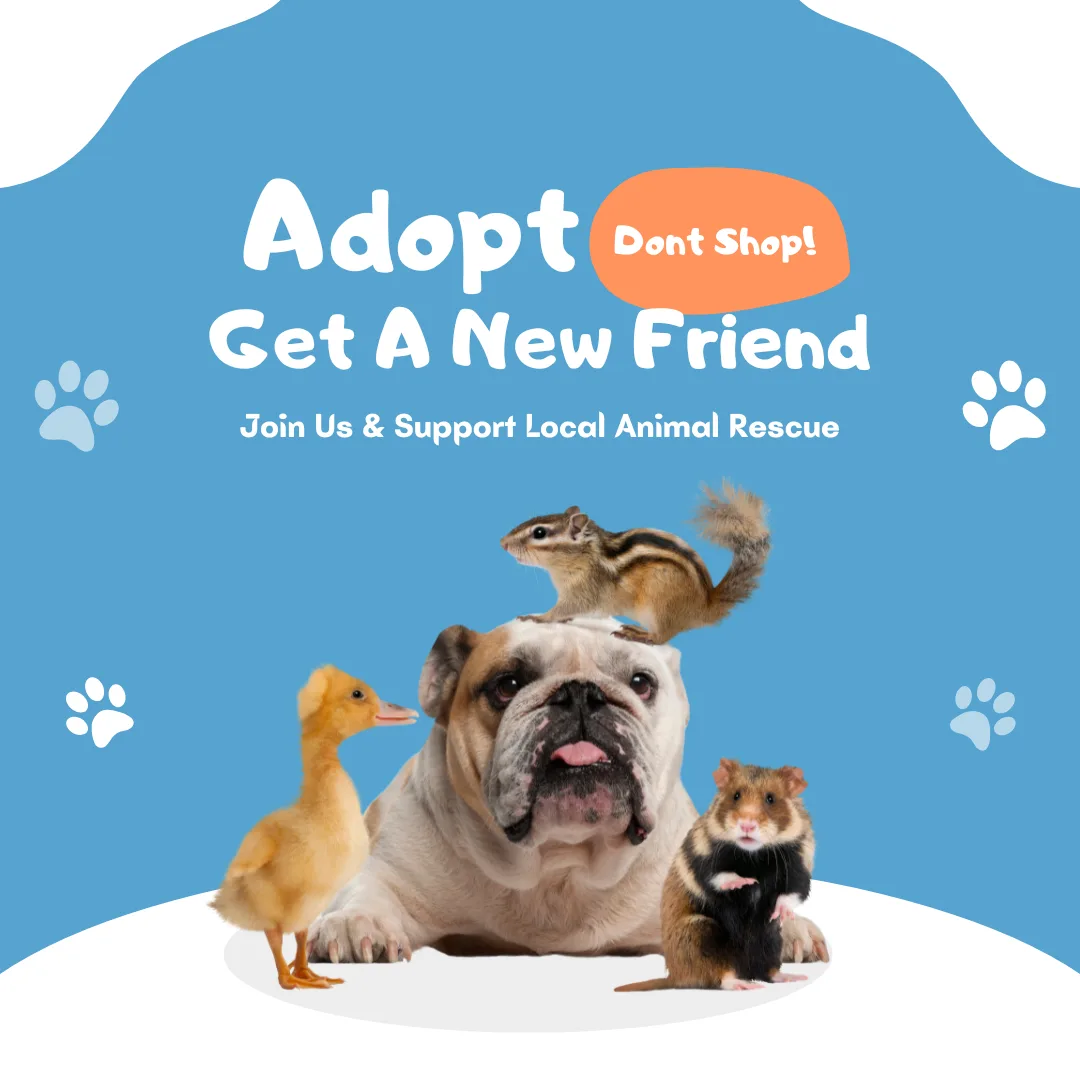 Adopt, Don’t Shop: Giving Every Dog the Chance They Deserve