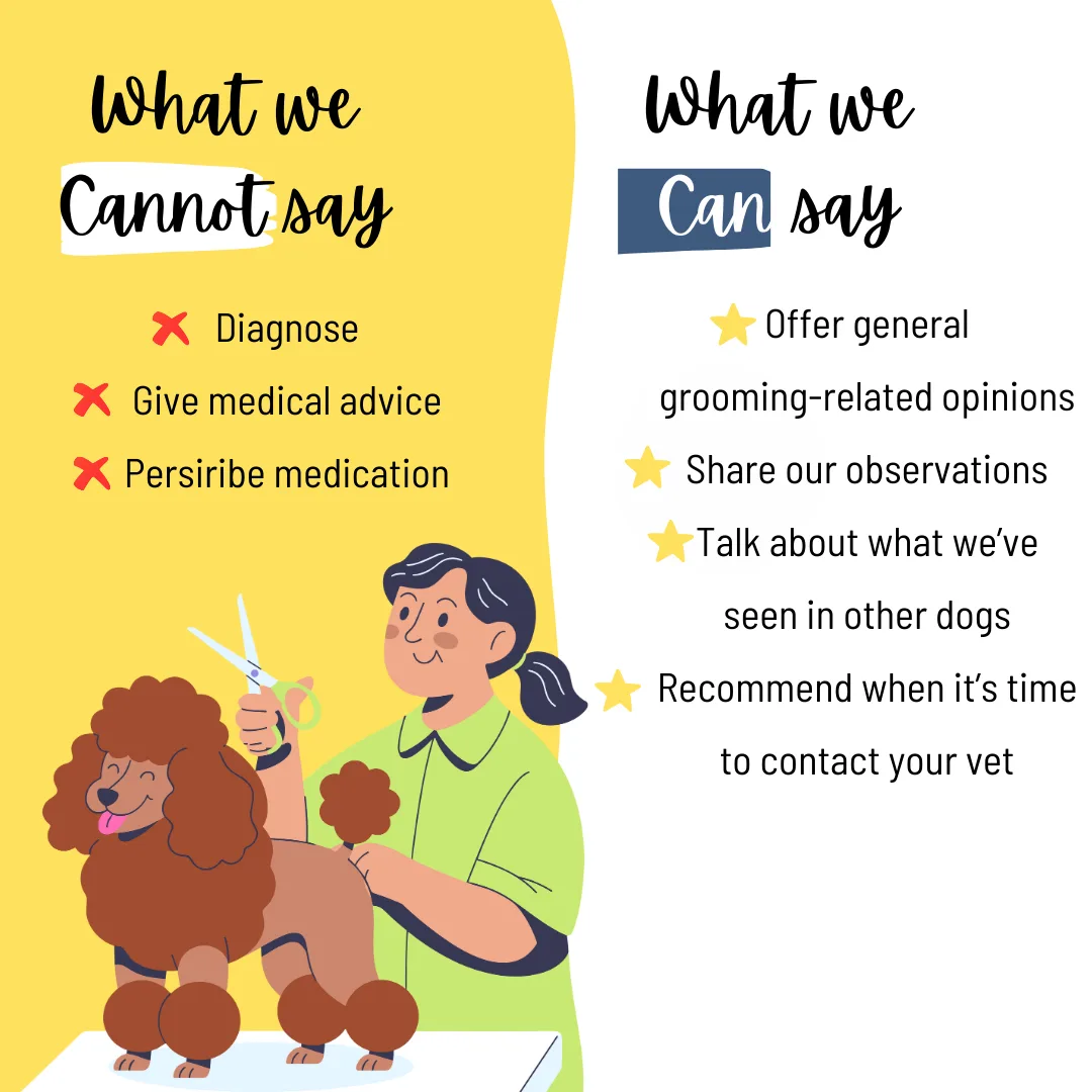 What Groomers Can (and Can’t) Say: Understanding Our Role in Your Pet’s Care