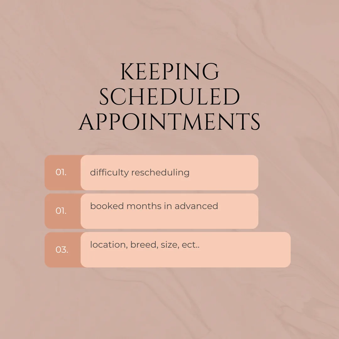 Why Keeping Your Scheduled Grooming Appointments Matters