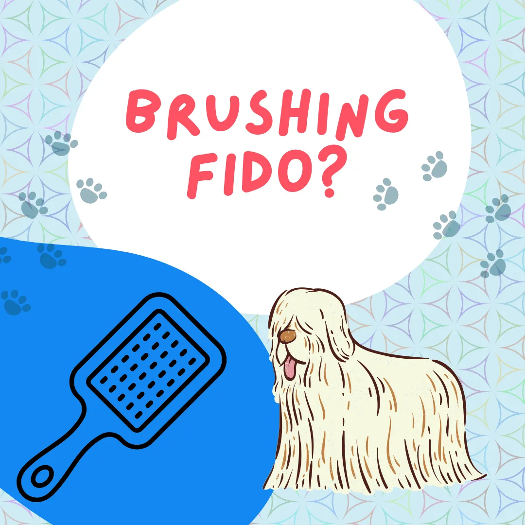 The Importance of Regular Brushing for Your Dog