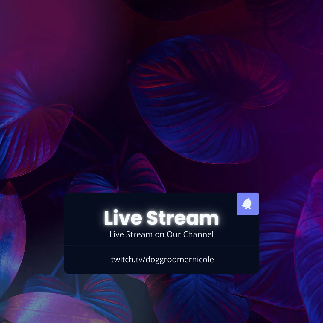 Ever wondered why I livestream dog grooming?