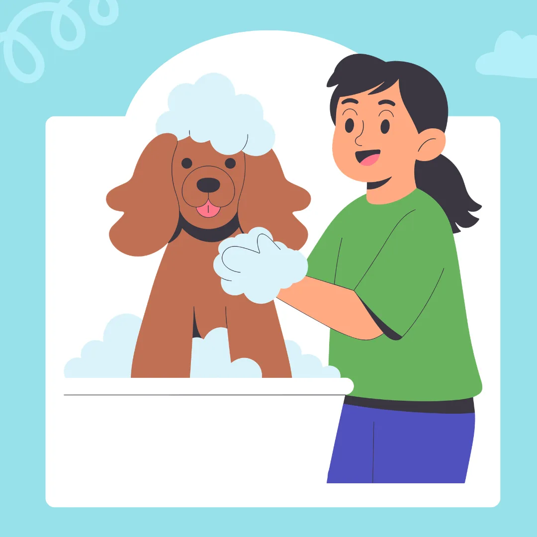 🌟 Building a Fur‑Ever Family at Vroom Grooms LLC
