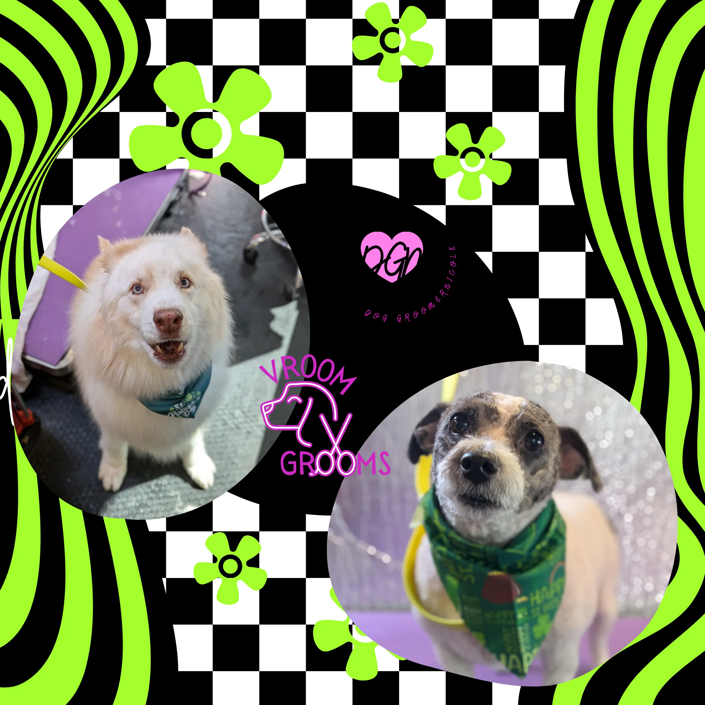 🍀 Dogs of St. Patty’s Day — Tuesday, March 17th 🍀
