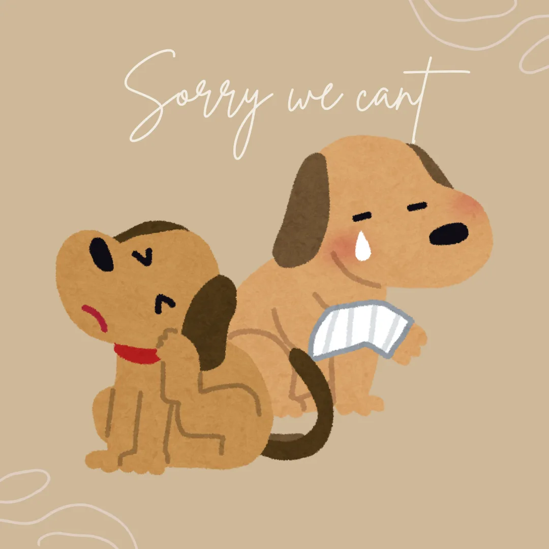 Grooming Safety Policy: Fleas, Injuries, Stitches, and Other Health Concerns