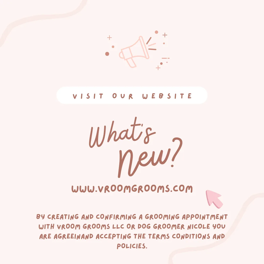 🐾 Why Updated Vaccination Records Matter at Vroom Grooms LLC