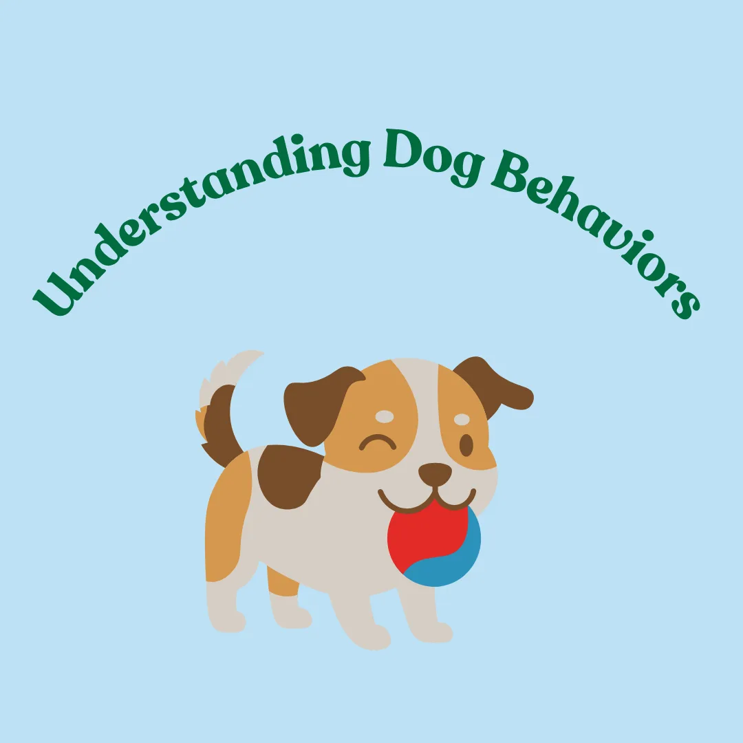 🐾 Understanding Dog Behaviors: What They Mean and Why They Matter