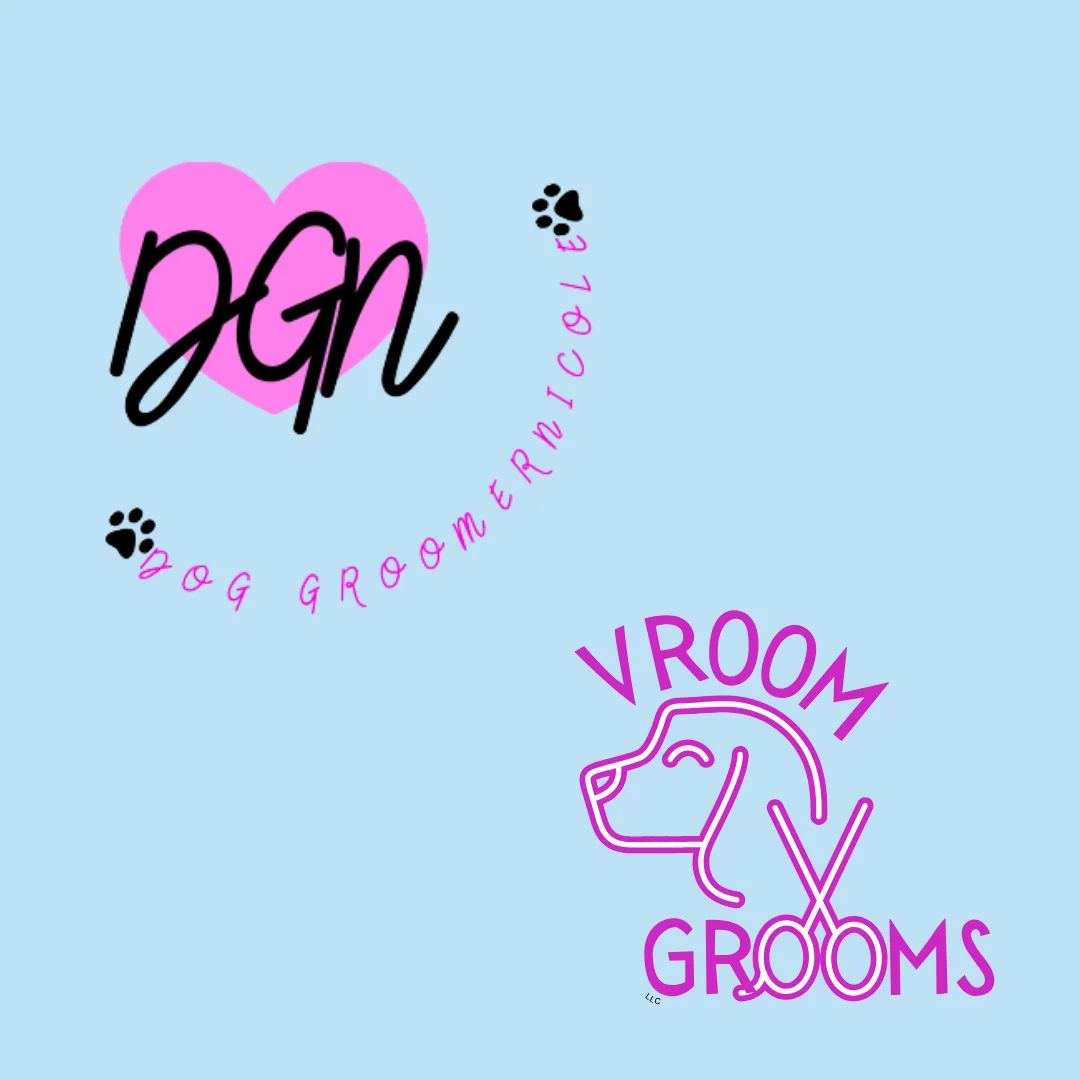 🎥🐾 Check Out the Live Grooming Stream on Twitch!