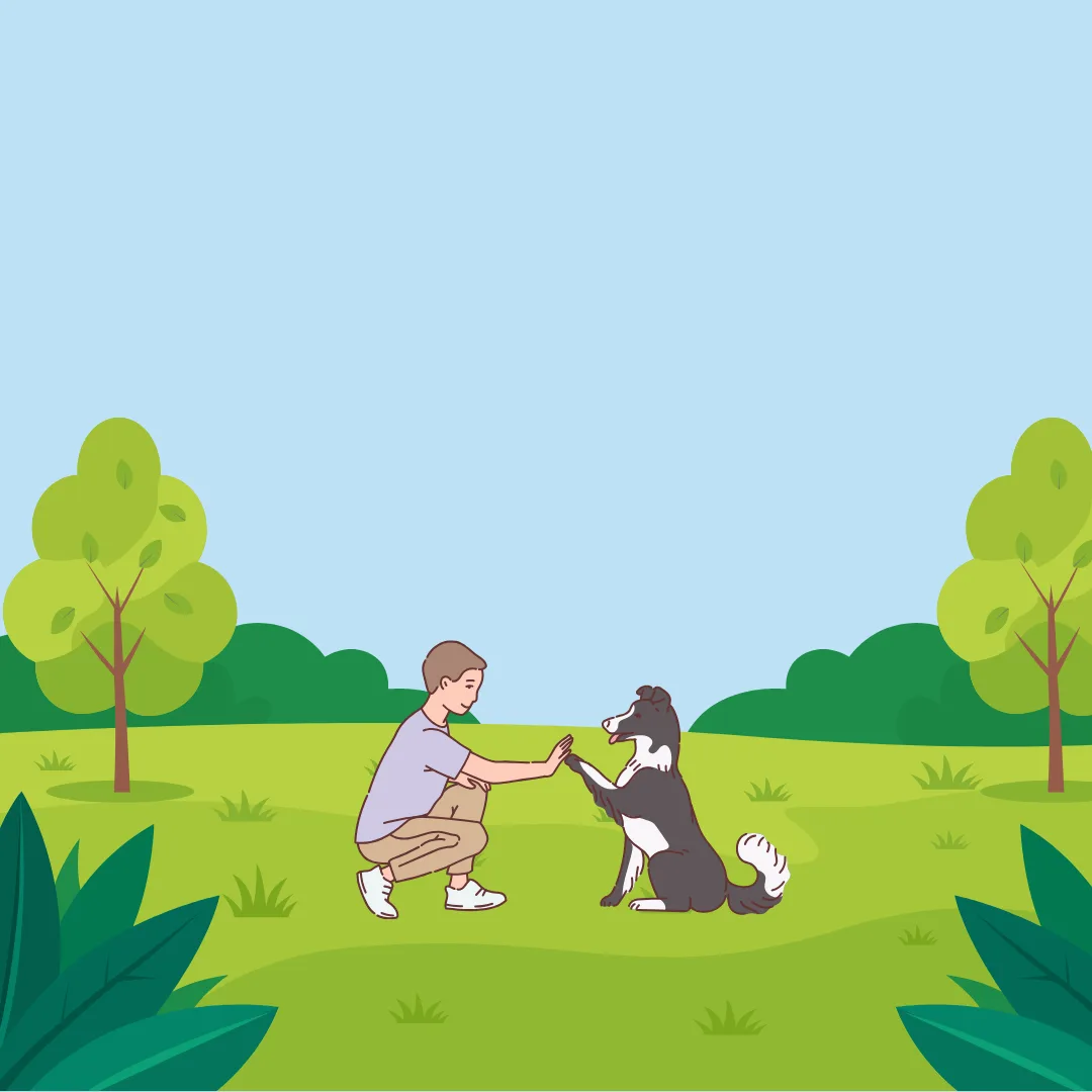 🐾 Why Regular Training Helps Dogs Thrive