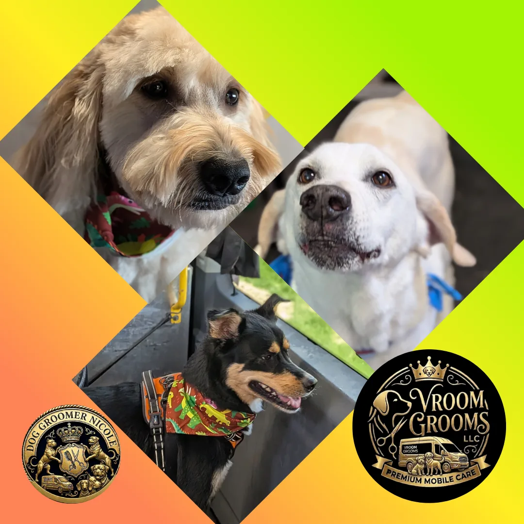 Dogs of the Day — Thursday, May 14th